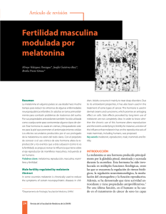 Fertilidad masculina modulada por melatonina
