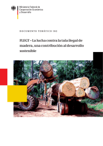 FLEGT – La lucha contra la tala ilegal demadera, una contribución