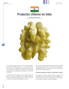 Productos chilenos en India
