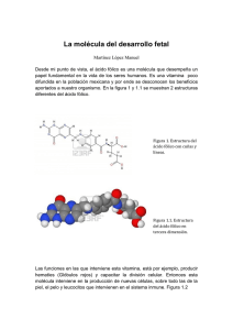 Ácido fólico - Moléculas de la vida
