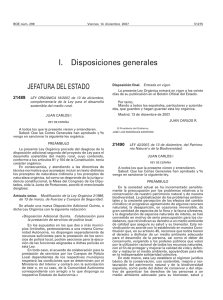 Ley Orgánica 16/2007, de 13 de diciembre, complementaria de la