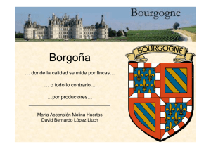 Introducción a los vinos y viñedos de la Borgoña