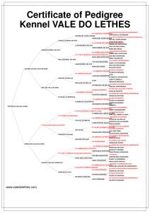 Certificate of Pedigree Kennel VALE DO LETHES