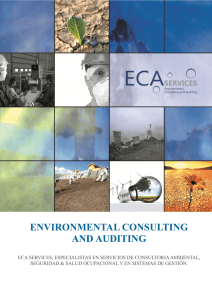 environmental consulting and auditing