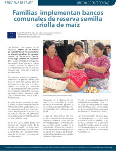 Familias implementan bancos comunales de reserva semilla criolla