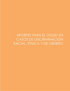 Aportes para el litigio en casos de discriminación racial, étnica y de