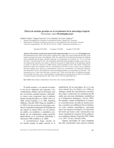 Prasinophyceae - Portal de revistas académicas de la Universidad