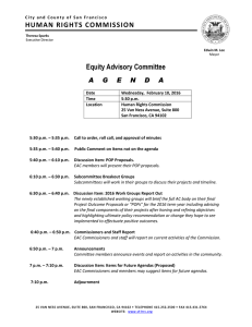 Equity Advisory Committee HUMAN RIGHTS COMMISSION