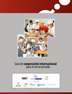 Guía de cooperación internacional: para el sector