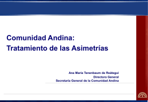 Comunidad Andina: Tratamiento de las Asimetrías