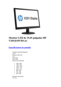 Monitor LED de 19,45 pulgadas HP V201(E6W38AA)