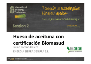 Hueso de aceituna con certificación Biomasud (Punto de vista del