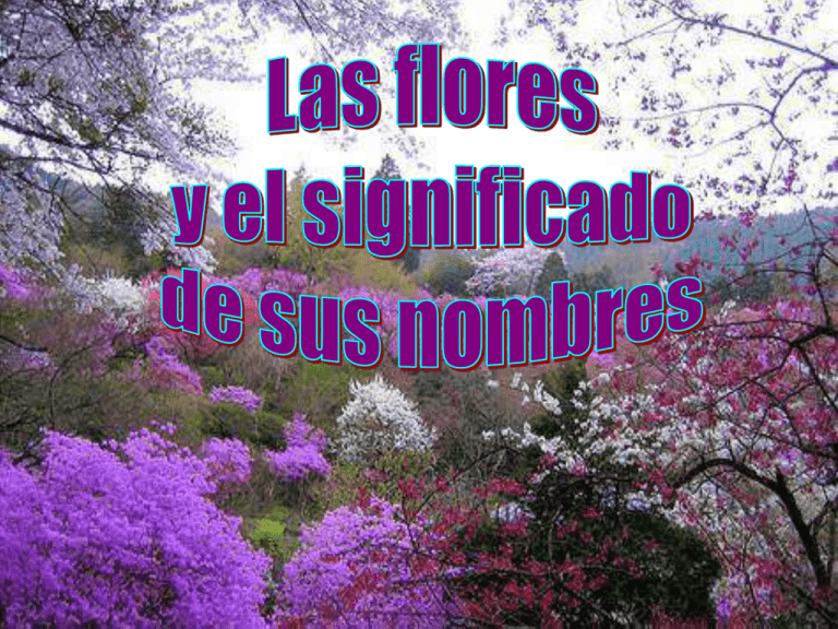 Significado del nombre de las flores