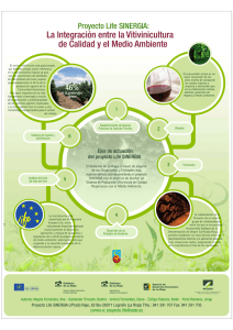 La Integración entre la Vitivinicultura de Calidad y el Medio Ambiente