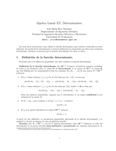Algebra Lineal XX: Determinantes.