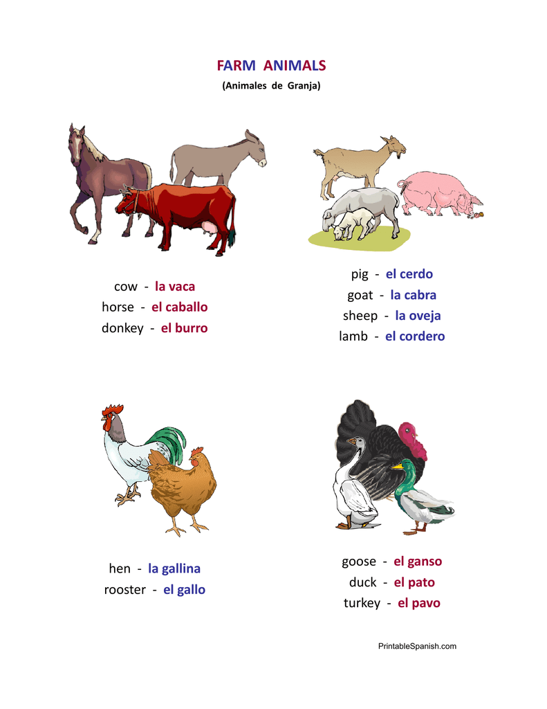 Printable Farm Animals In Spanish