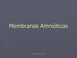 Membranas Amnióticas