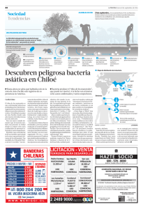 Descubren peligrosa bacteria asiática en Chiloé