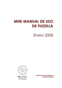 MINI MANUAL DE USO DE FILEZILLA Enero 2008