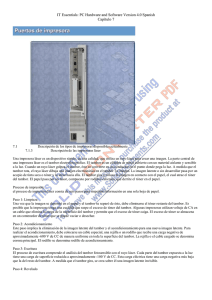 Capitulo 7 PC Hardware and Software Version 4.0 Spanish