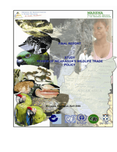final report study review of nicaragua`s wildlife trade policy