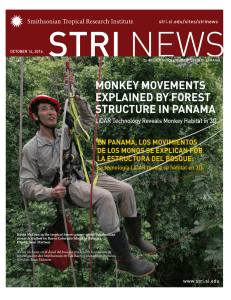 monkey movements explained by forest structure in panama
