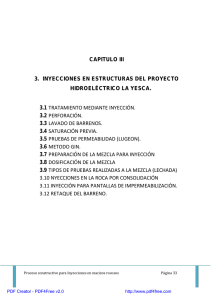 CAPITULO III 3. INYECCIONES EN ESTRUCTURAS DEL