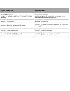 English version text Translated text Standard