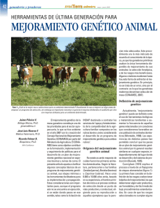 mejoramiento genético animal