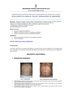 guía didáctica para el taller: semiología de abdomen - e