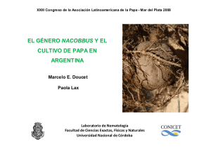 el género nacobbus y el cultivo de papa en argentina el género