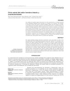 Ciclo estral del rat&oacute;n hembra intacto y