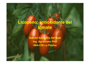 Licopeno, antioxidante del tomate
