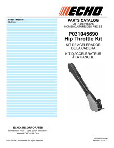 P021045690 Hip Throttle Kit