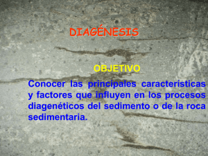diagénesis