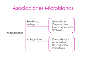 Asociaciones Microbianas