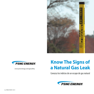 Know The Signs of a Natural Gas Leak