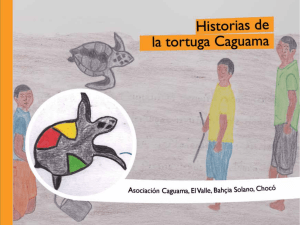 Historias de la tortuga caguama