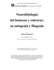 Neurofisiología del bostezar y estirarse: su ontogenia y filogenia