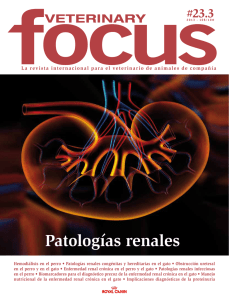 Veterinary Focus - Patologías Renales