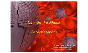 Shock neonatal - Neo Puerto Montt