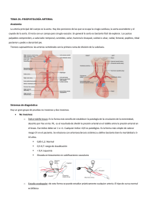 TEMA 24.-FISIOPATOLOGÍA ARTERIAL Anatomía Sistemas de