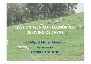gestión tecnico – económica de ovino de carne de ovino