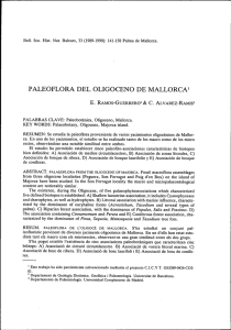 paleoflora del oligoceno de mallorca!