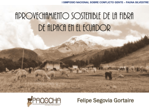 aprovechamiento sostenible de LA fibra de alpaca EN EL ECUADOR