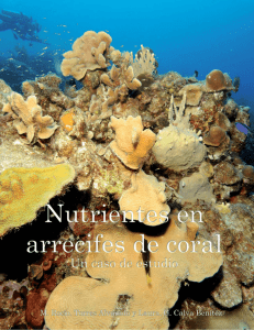 Nutrientes en arrecifes de coral. Un caso de estudio - UAM-I