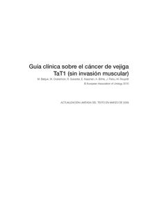 Guía clínica sobre el cáncer de vejiga TaT1