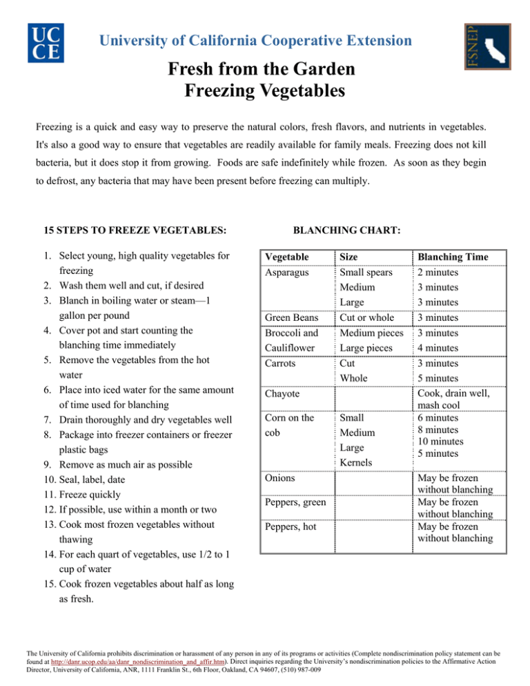 Fresh from the Garden Freezing Vegetables