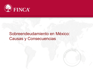 Title is in FINCA Red, Arial 32pt
