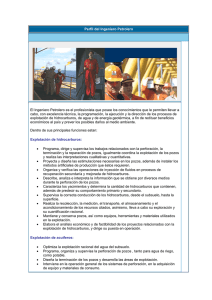 Perfil del Ingeniero Petrolero - Academia de Ingeniería de México